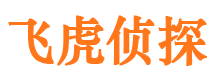 洪湖捉小三公司